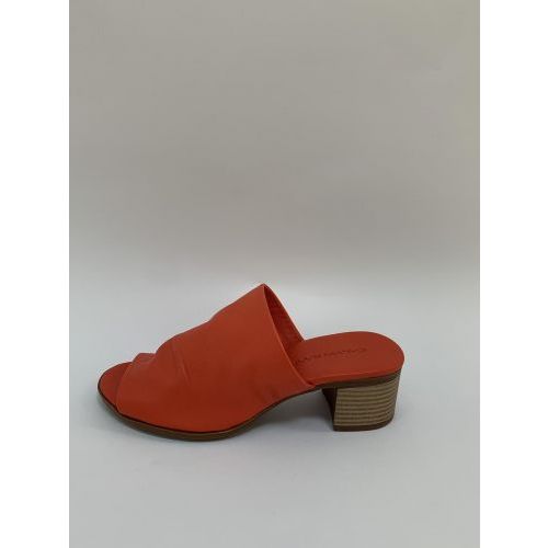 Andrea Conti Muil Rood