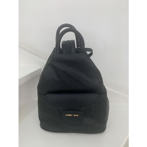 Laurent David  Zwart