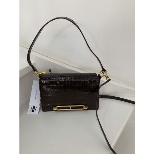 Laurent David  Bruin