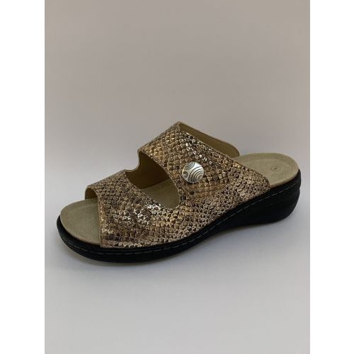 Solidus Mul Ortho Croco