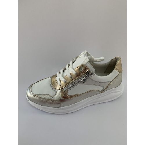 Solidus Sneaker Goud Multi