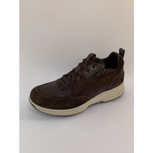 Xsensible Sneaker Bruin